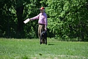 Доберман Smart Wood Hills Kenya