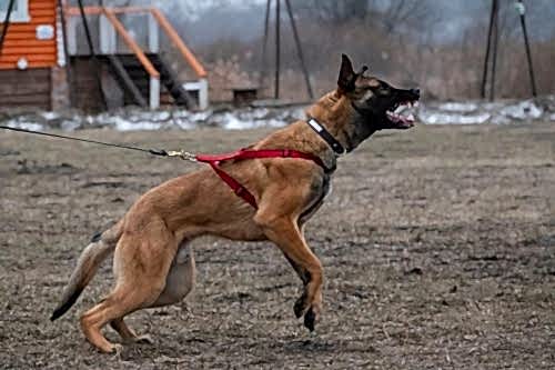 WhatsApp Image 2021-01-30 at 20.32.13