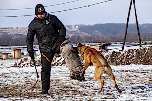 WhatsApp Image 2021-01-30 at 20.32.15