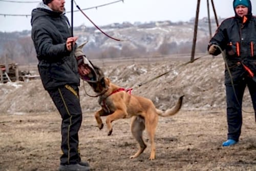 WhatsApp Image 2021-01-30 at 20.32.16