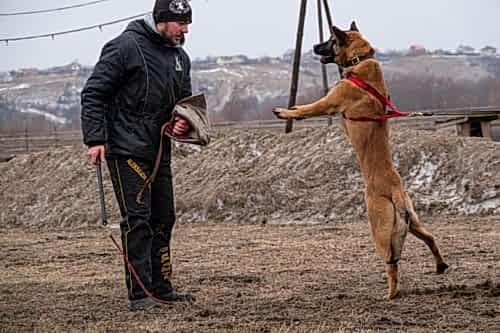 WhatsApp Image 2021-01-30 at 20.32.174