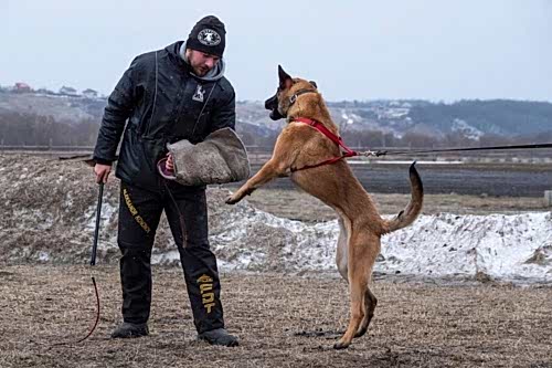 WhatsApp Image 2021-01-30 at 20.32.18