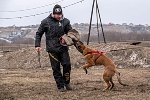 WhatsApp Image 2021-01-30 at 20.32.183