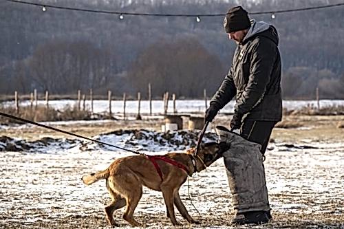 WhatsApp Image 2021-01-30 at 20.33.16