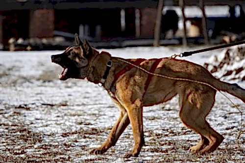 WhatsApp Image 2021-01-30 at 20.33.17