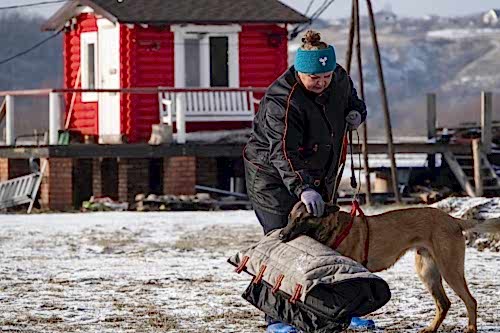 WhatsApp Image 2021-01-30 at 20.33.172