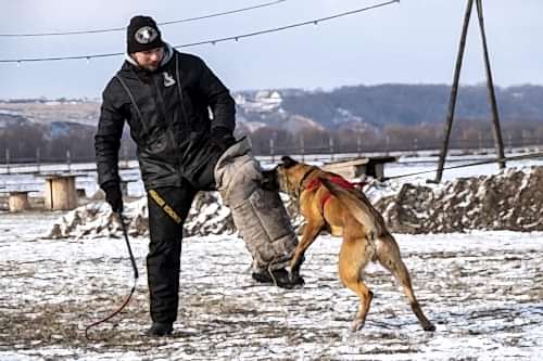 WhatsApp Image 2021-01-30 at 20.33.182