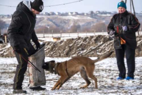 WhatsApp Image 2021-01-30 at 20.33.19