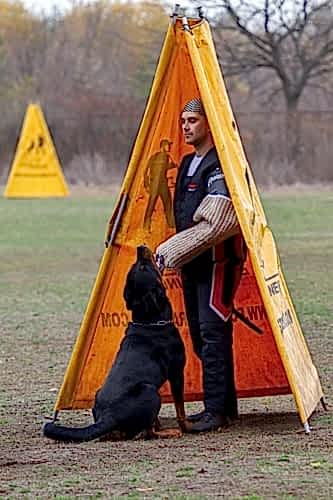 252705985 4813334225363684 7255001043234068096 n