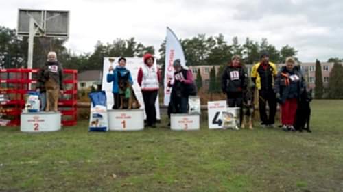 253327907 4817149594982147 7080611579584642366 n