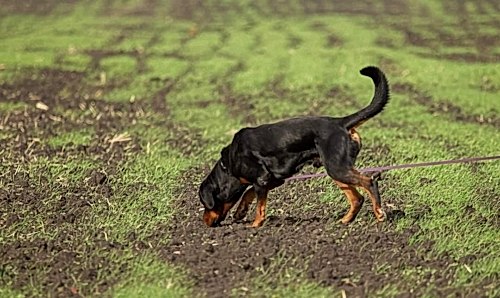 WhatsApp-Image-2021-11-05-at-17.04.0822