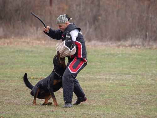 WhatsApp-Image-2021-11-05-at-18.58.14