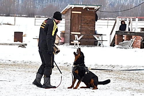 WhatsApp Image 2020-12-25 at 20.05.45