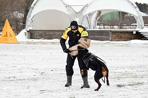 WhatsApp Image 2020-12-25 at 20.05.4510