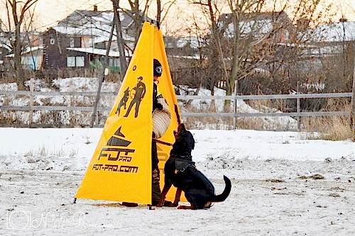 WhatsApp Image 2020-12-25 at 20.05.4512