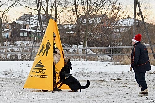 WhatsApp Image 2020-12-25 at 20.05.4513