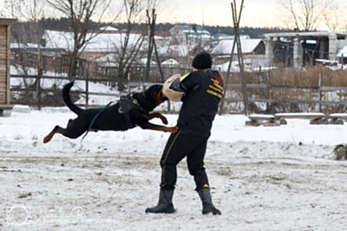 WhatsApp Image 2020-12-25 at 20.05.4514