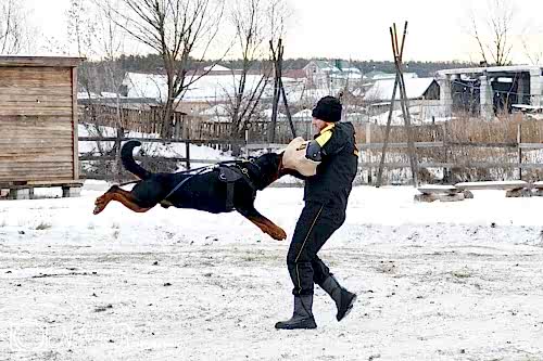 WhatsApp Image 2020-12-25 at 20.05.4515