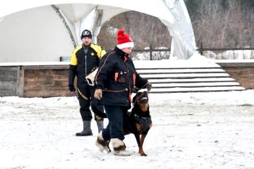 WhatsApp Image 2020-12-25 at 20.05.4516