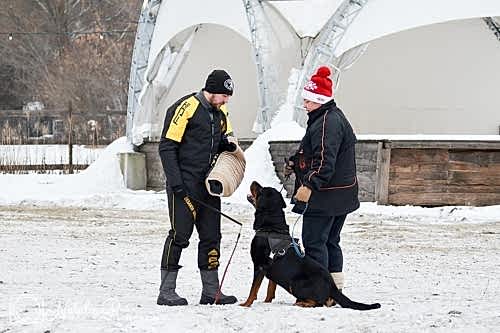 WhatsApp Image 2020-12-25 at 20.05.4517