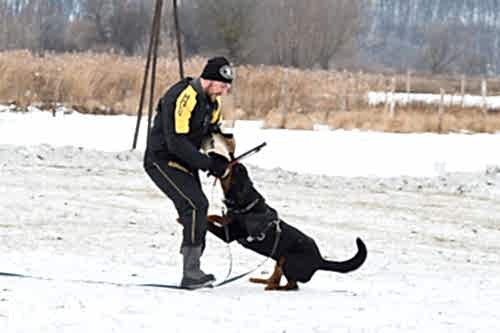 WhatsApp Image 2020-12-25 at 20.05.452