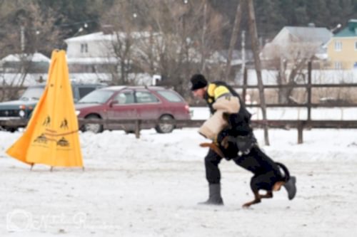 WhatsApp Image 2020-12-25 at 20.05.4520