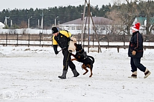 WhatsApp Image 2020-12-25 at 20.05.4521