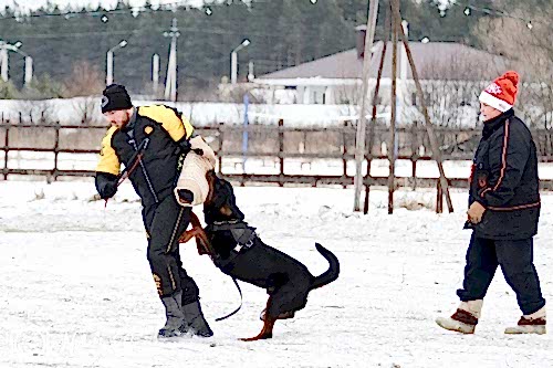 WhatsApp Image 2020-12-25 at 20.05.4522