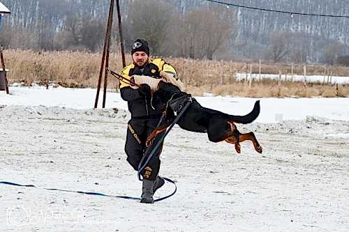 WhatsApp Image 2020-12-25 at 20.05.453