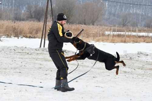 WhatsApp Image 2020-12-25 at 20.05.454