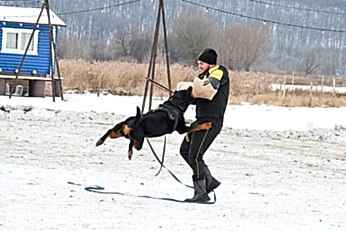 WhatsApp Image 2020-12-25 at 20.05.455