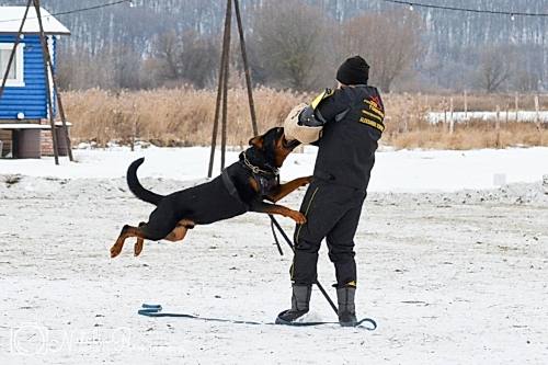 WhatsApp Image 2020-12-25 at 20.05.456