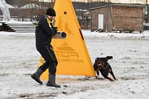 WhatsApp Image 2020-12-25 at 20.05.457