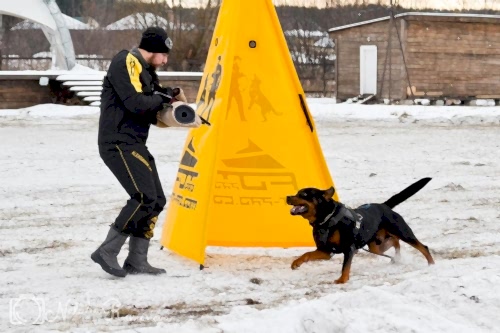 WhatsApp Image 2020-12-25 at 20.05.458