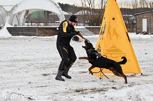 WhatsApp Image 2020-12-25 at 20.05.459