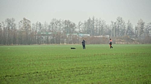 72573703 10215465913348654 6316932058077724672 o