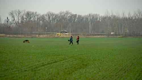 73315111 10215450041271862 3896368312019320832 o