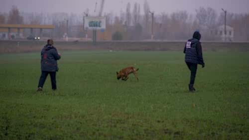 73323485 10215465910108573 7393352348237561856 o