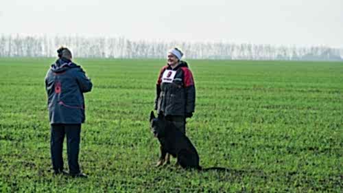 73342449 10215465919668812 1755238406708789248 o