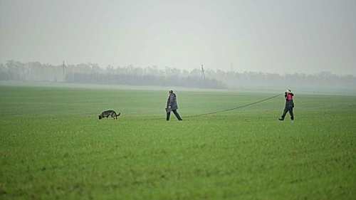 73472634 10215465915388705 787359537916018688 o