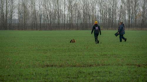 74217863 10215465912188625 8357240917534441472 o