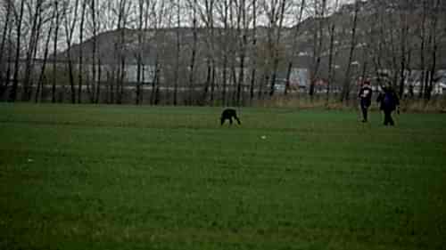 74401520 10215465912028621 1615707056839327744 o