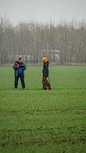 75241223 10215465911828616 2635607596018434048 n