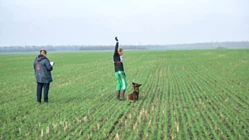 75264798 10215465920828841 380440678296977408 o