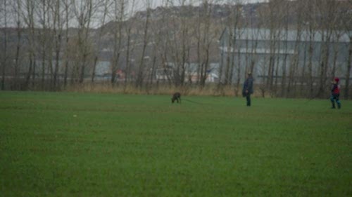 75278355 10215465910228576 3412238000686366720 o