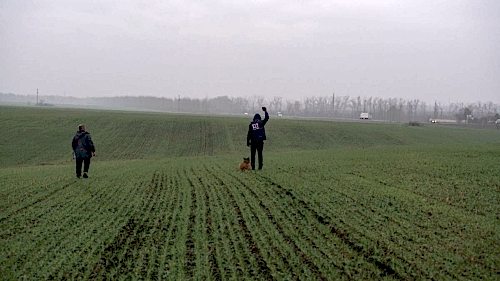 75435749 10215465910348579 7798117990427262976 o