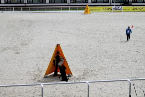 Чемпионат Казахстан по IGP, 23-26 мая 2019