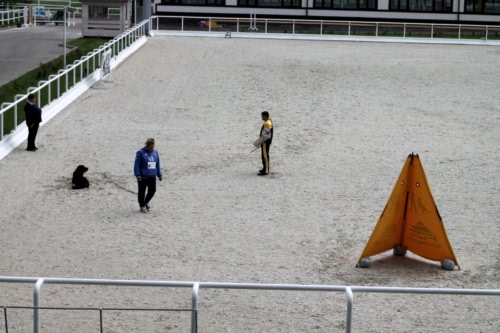 Чемпионат Казахстан по IGP, 23-26 мая 2019