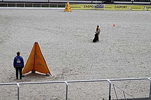 Чемпионат Казахстан по IGP, 23-26 мая 2019