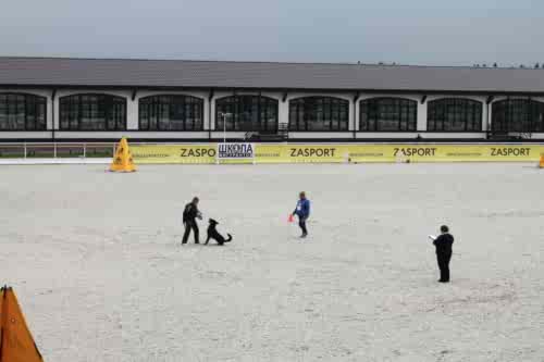 Чемпионат Казахстан по IGP, 23-26 мая 2019